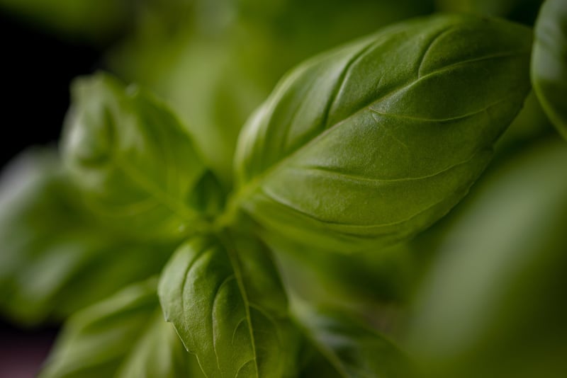 Herb Garden Tower